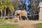 San Diego Zoo Safari Park